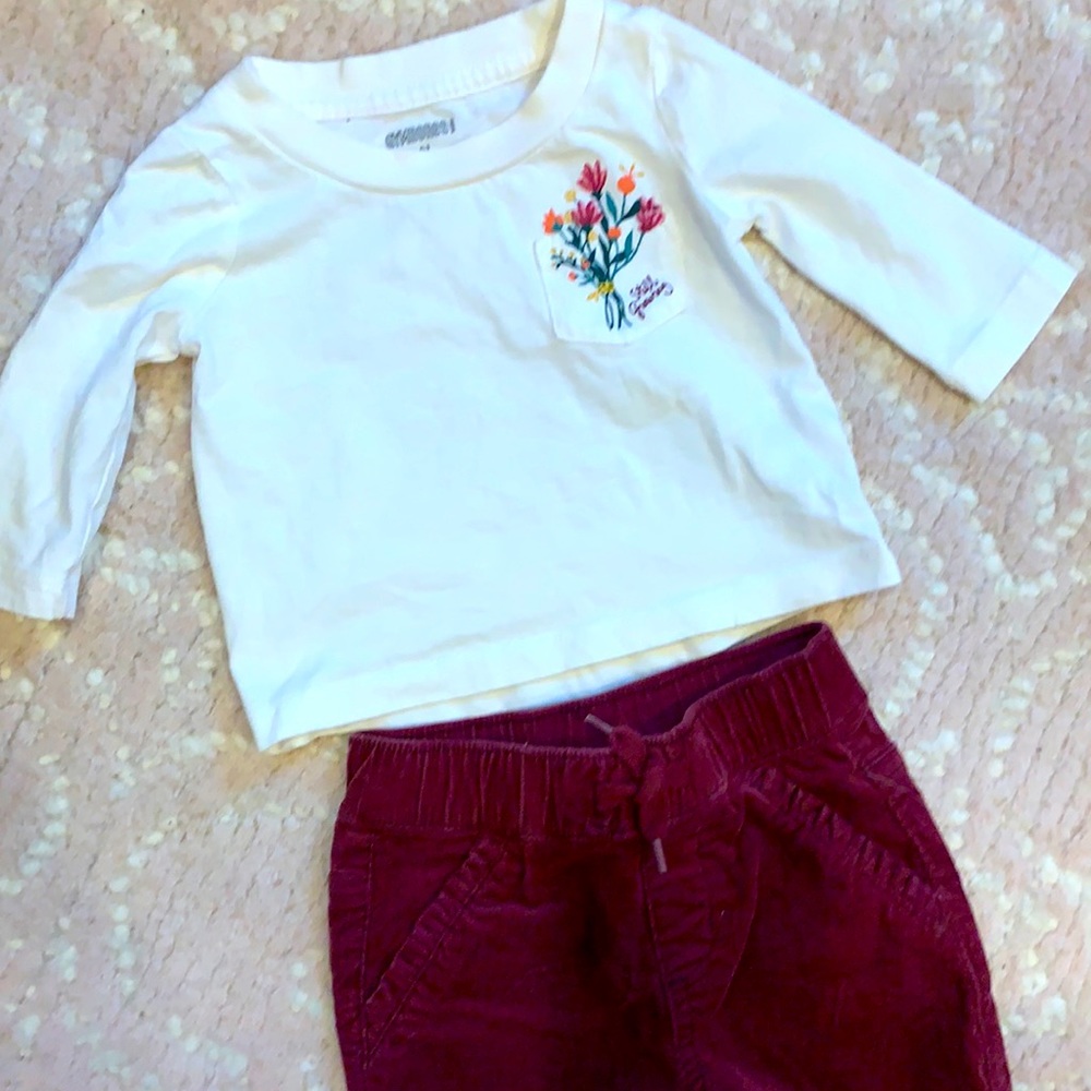 Gymboree baby Fall outfit